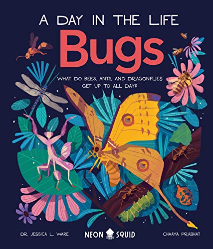 Bugs (A Day In The Life) What Do Bees, Ants, And Dragonflies Get Up To All Day