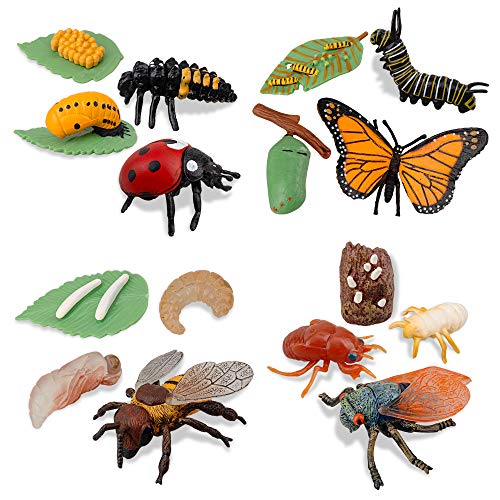 Toymany Pcs Insect Figurines Life Cycle Of Monarch Butterfly,Honey Bee,Cicada,Ladybug, Plastic Caterpillars To Butterflies Bug Figures Toy Kit Educational School Project For Kids Toddlers