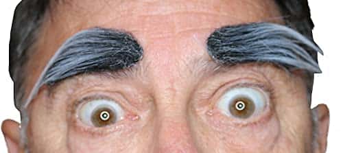 False Eyebrows Self Adhesive  Tape Realistic Looking Novelty Eye Brows (Dark Grey)