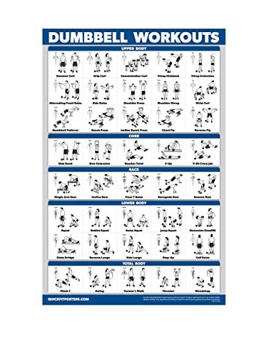 Palace Learning Dumbbell Workout Exercise Poster   Free Weight Body Building Guide  Home Gym Chart   Laminated, X