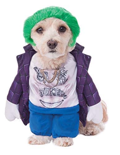 Rubie'S Dc Comics Suicide Squad Walking The Joker Pet Costume, Medium