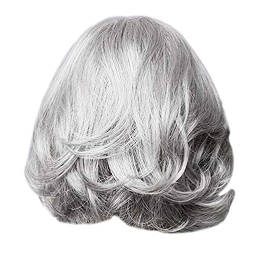 Solustre Short Curl Wave Hair Wig Fashion Haircut Wigs Natural Looking Exquisite Rose Net Wig Cover Synthetic Cosplay Costume Wig Silver Grey